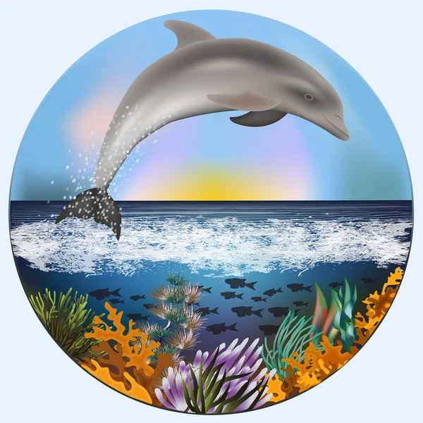 Onderwater Kaart Met Dolfijn Vectorillustratie — Stockvector
