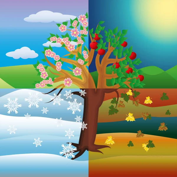 Dört Mevsim Ağaç Kartı Vektör Çizim — Stok Vektör