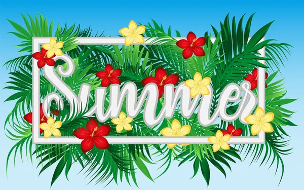 Season Summer Time Banner Vector Illustration — Stock Vector