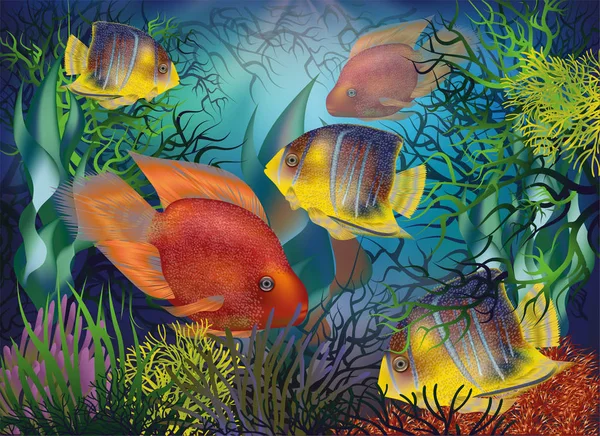 熱帯魚 赤いオウムと王室のエンゼルフィッシュ ベクトルイラストと水中の背景 — ストックベクタ