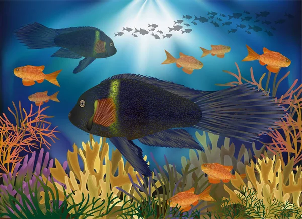 熱帯魚 ベクトル図での水中壁紙 — ストックベクタ