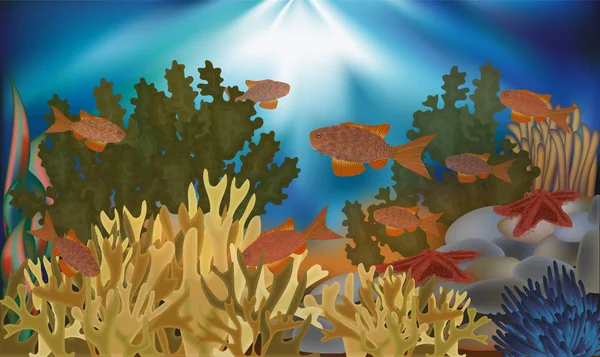 Onderwater Behang Met Algen Zeesterren Tropische Vissen Vector Illustratie — Stockvector