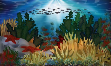 Yosun ve deniz yıldızı ile sualtı arka plan, vektör illüstrasyon