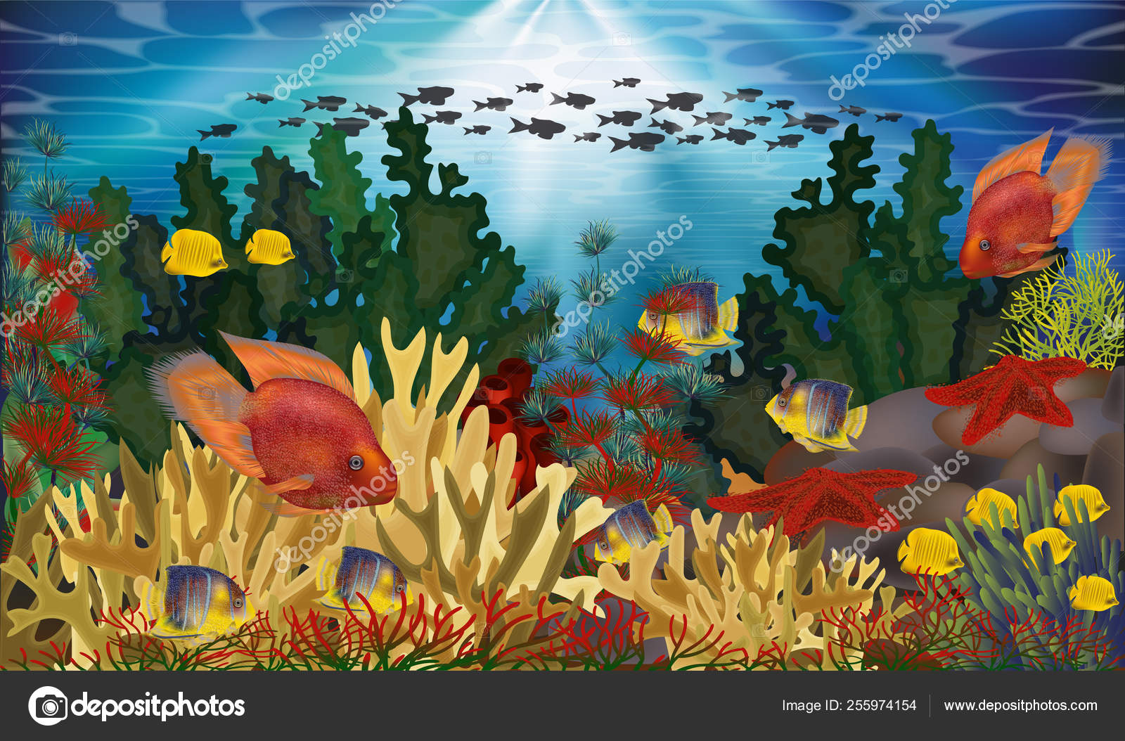 Papel Parede Subaquático Com Algas Peixes Tropicais Ilustração Vetorial  Vetor de ©CaroDi 255974154, image size:1600x1054