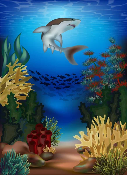 サメと水中壁紙 ベクトルイラスト — ストックベクタ