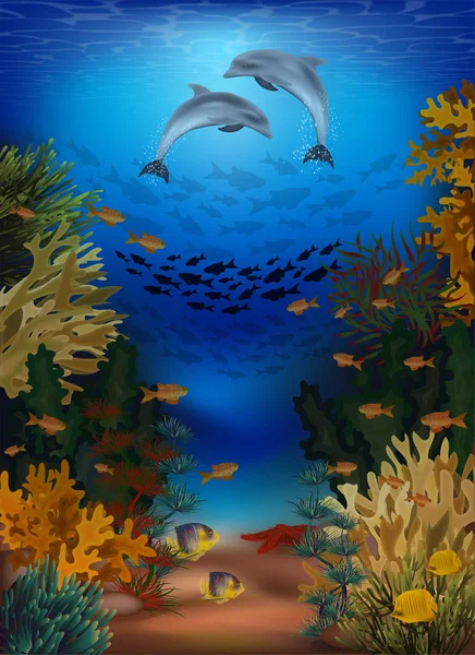Underwater Banner Dolphins Vector Illustration — Stock Vector