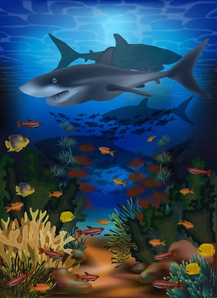 Podwodne Tło Rekinami Tropikalną Rybą Ilustracja Wektorowa — Wektor stockowy