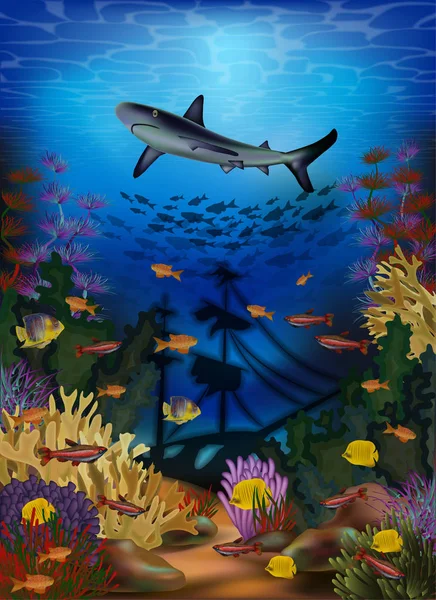 サメと沈没船で水中壁紙 ベクトルイラスト — ストックベクタ