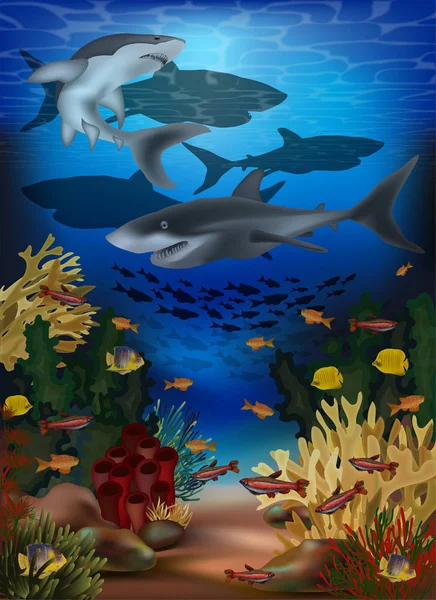 Bandera Submarina Con Tiburones Peces Tropicales Ilustración Vectorial — Archivo Imágenes Vectoriales