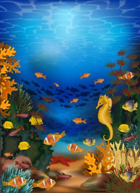 Yosun ve denizatı ile sualtı kartı, vektör illüstrasyon