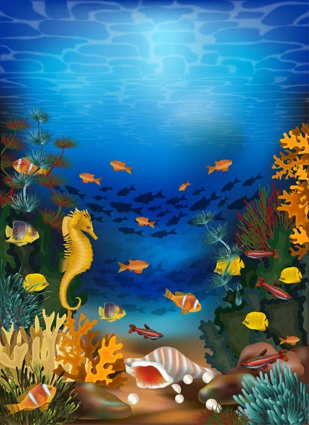 Tarjeta Submarina Con Concha Marina Peces Tropicales Ilustración Vectorial — Archivo Imágenes Vectoriales