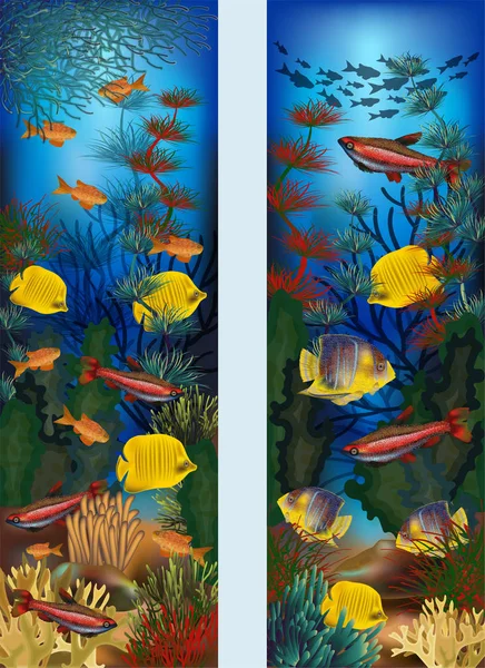 Bannières Verticales Sous Marines Avec Algues Poissons Tropicaux Illustration Vectorielle — Image vectorielle