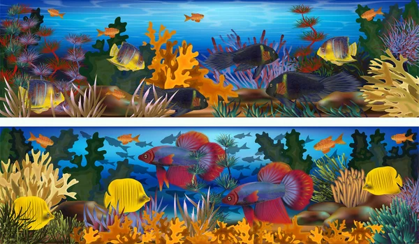Подводные Горизонтальные Плакаты Водорослями Тропическими Рыбами Векторная Иллюстрация — стоковый вектор