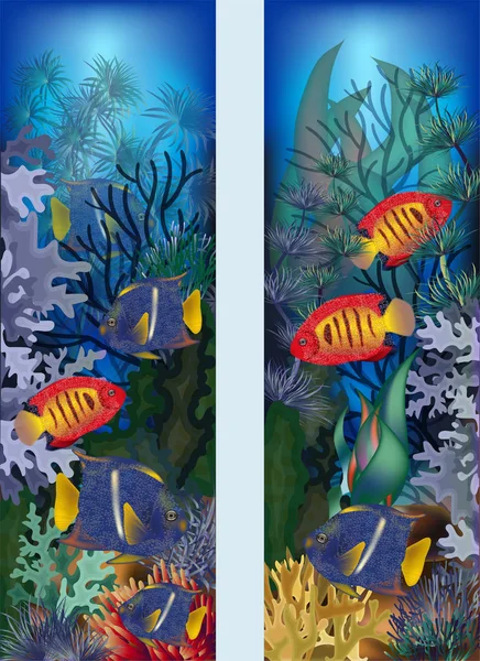 Banderas Verticales Submarinas Con Peces Tropicales Ilustración Vectorial — Archivo Imágenes Vectoriales