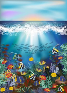 Tropikal balık, vektör çizim ile sualtı duvar kağıdı