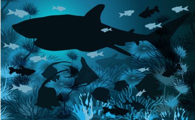 Köpekbalığı ile sualtı duvar kağıdı, tropikal balık, vektör illüstrasyon