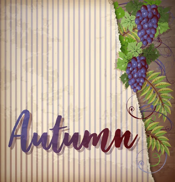 Autumn Greeting Background Grape Vector Illustration — Stock Vector