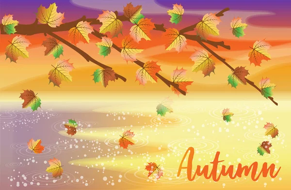 Herfst Groet Banner Met Esdoorn Bladeren Vector Illustratie — Stockvector