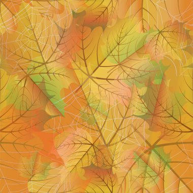 Akçaağaç yaprakları ve örümcek ağı, vektör illüstrasyon ile Sonbahar dikişsiz arka plan