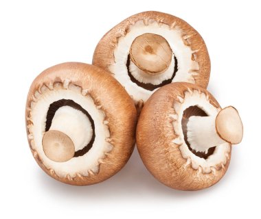 Beyaz arka plan üzerinde izole mantar yakın çekim