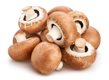 Beyaz arka plan üzerinde izole mantar yığın yakın çekim