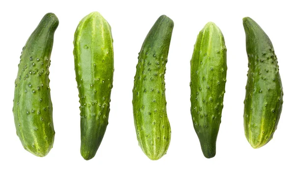 Cucumbers Isolated White Background — Stock Photo, Image