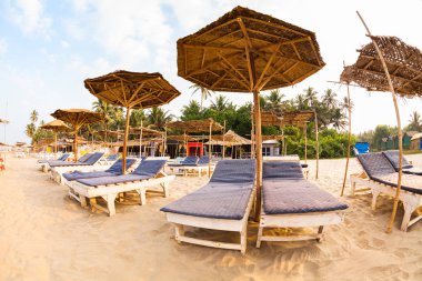Goa plaj tente Hindistan deniz kıyısı