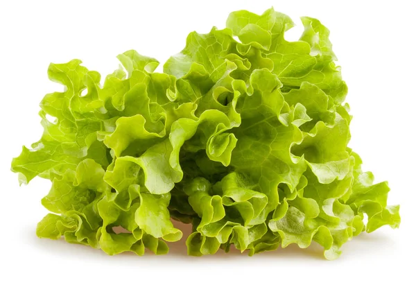 Sallad Högen Isolerad Vit Bakgrund Närbild — Stockfoto