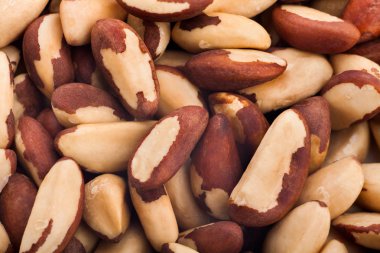 Brezilya fıstığı closeup yumuşak odak