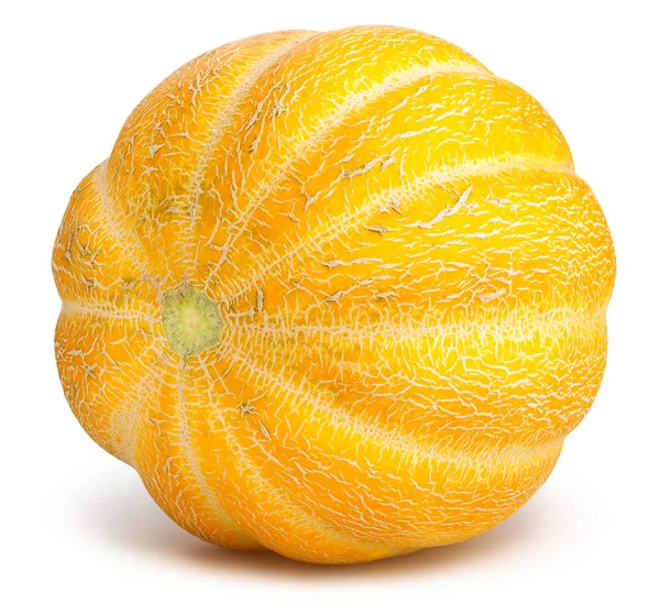 Enkele Meloen Geïsoleerd Close Shot — Stockfoto