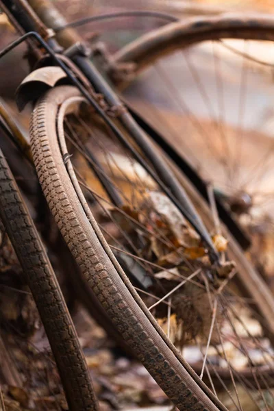 Old Bicycle Wheel Dump Focus — Stock Photo, Image