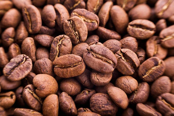Coffee Beans Closeup Selective Focus — Stock Photo, Image