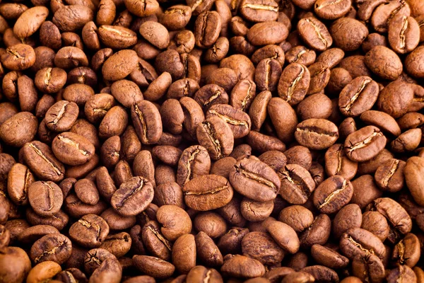 Coffee Beans Closeup Focus Detail — Stock Photo, Image