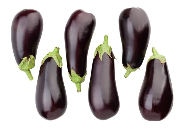 Eggplant Isolated Close Shot — Stock Photo, Image