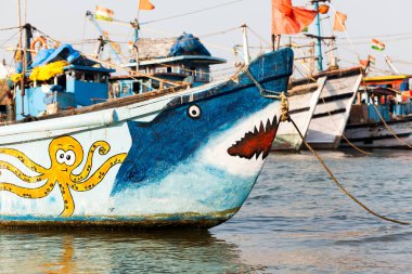 goa Hindistan renkli balık tutma tekne