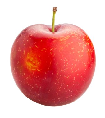 yakın çekim izole kırmızı erik