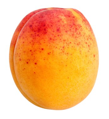 yakın çekim izole kayısı