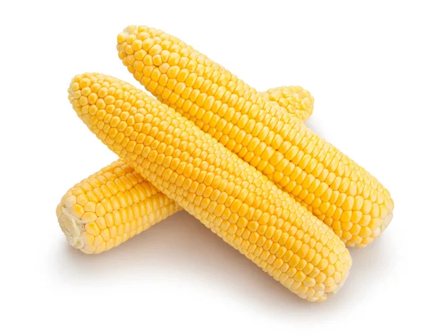 Elszigetelt Close Lövés Corn Csoport — Stock Fotó