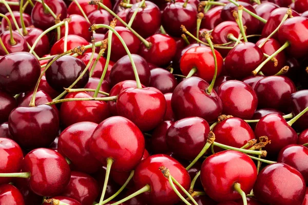 Cherry Closeup Zblízka Střílel — Stock fotografie