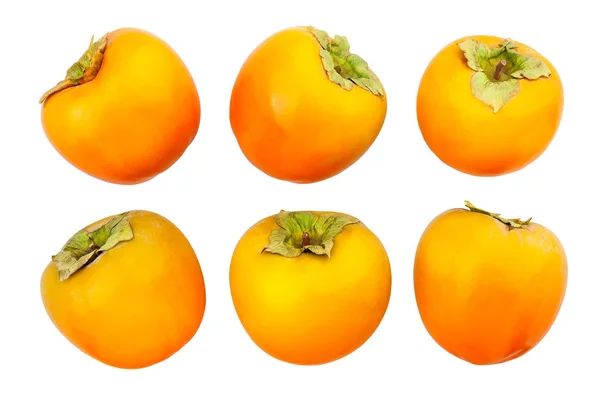 Persimmons Isoliert Auf Weißer Nahaufnahme — Stockfoto