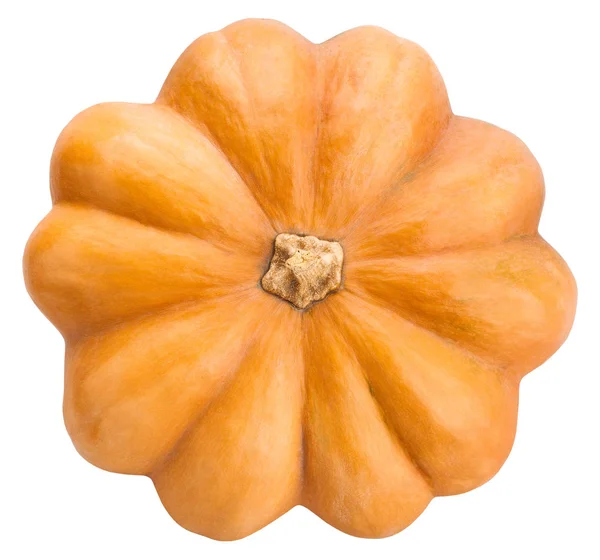 Pumpkin Isolated Close Shot — Stock Photo, Image