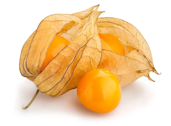 Physalis Chemin Isolé Sur Plan Rapproché Blanc — Photo