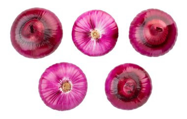 beyaz izole kırmızı soğan