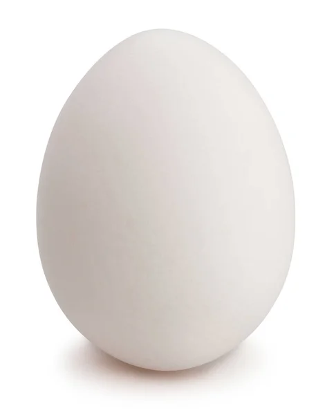 Single Egg Path Isolated White Close Shot — Stock Photo, Image