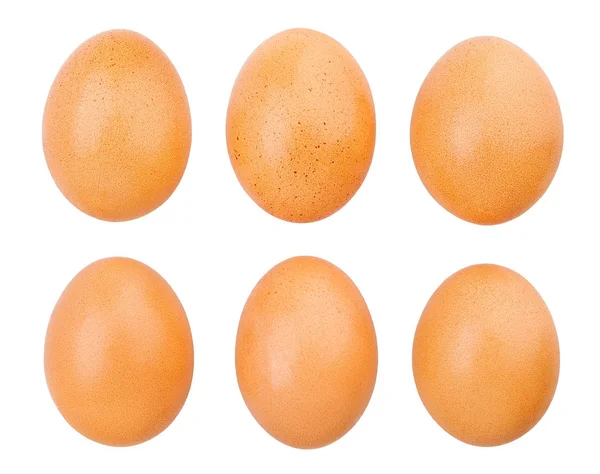 Eggs Isolated White Close Shot — Stock Photo, Image