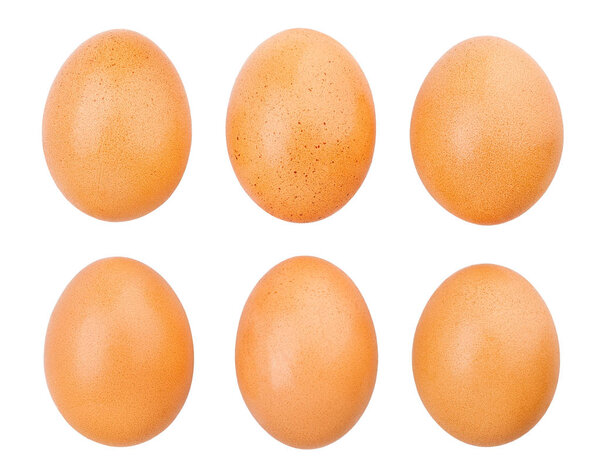 eggs isolated on white close up shot