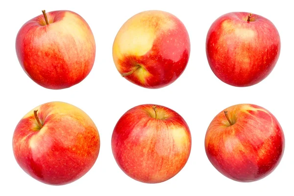Яблука Ізольовані Крупним Планом — стокове фото