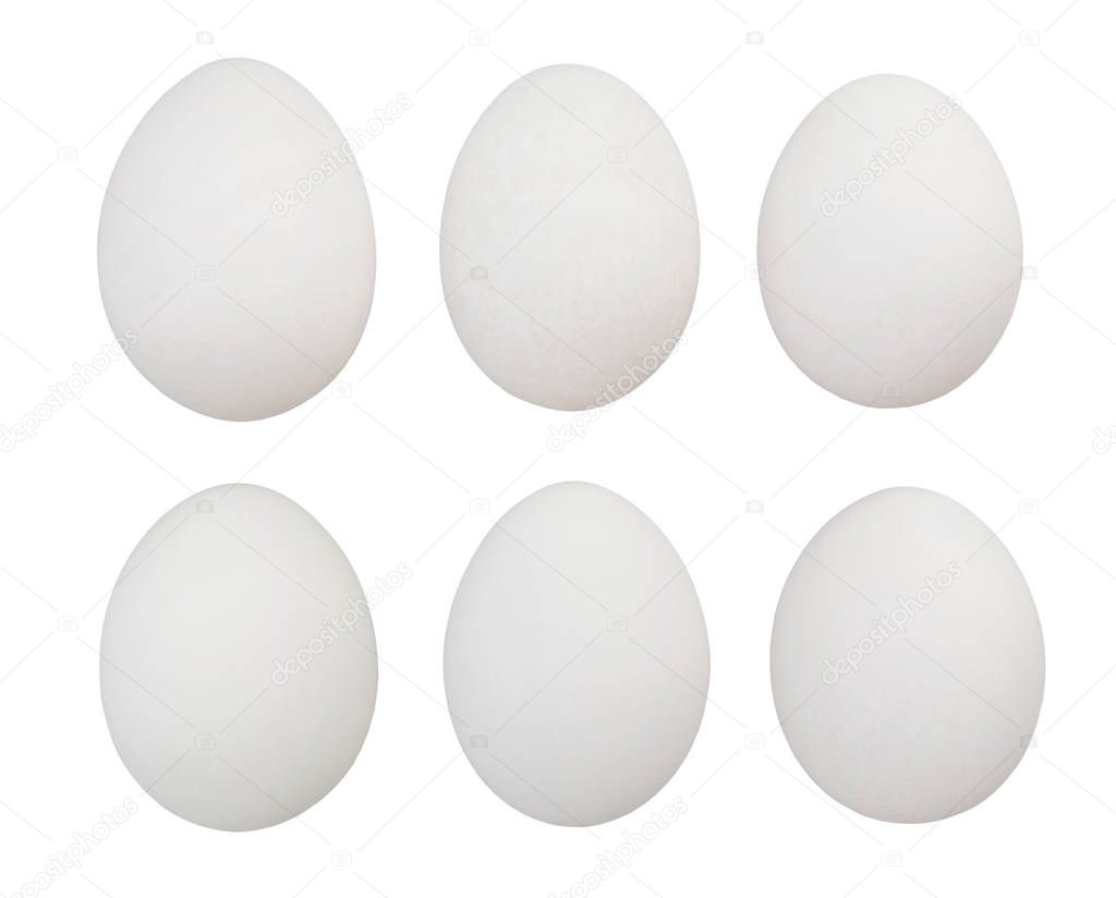 eggs isolated on white background close up shot