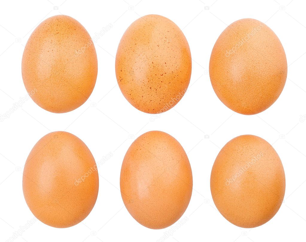 eggs isolated on white close up shot