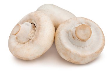 Şampiyon mantarları beyaz arkaplanda izole